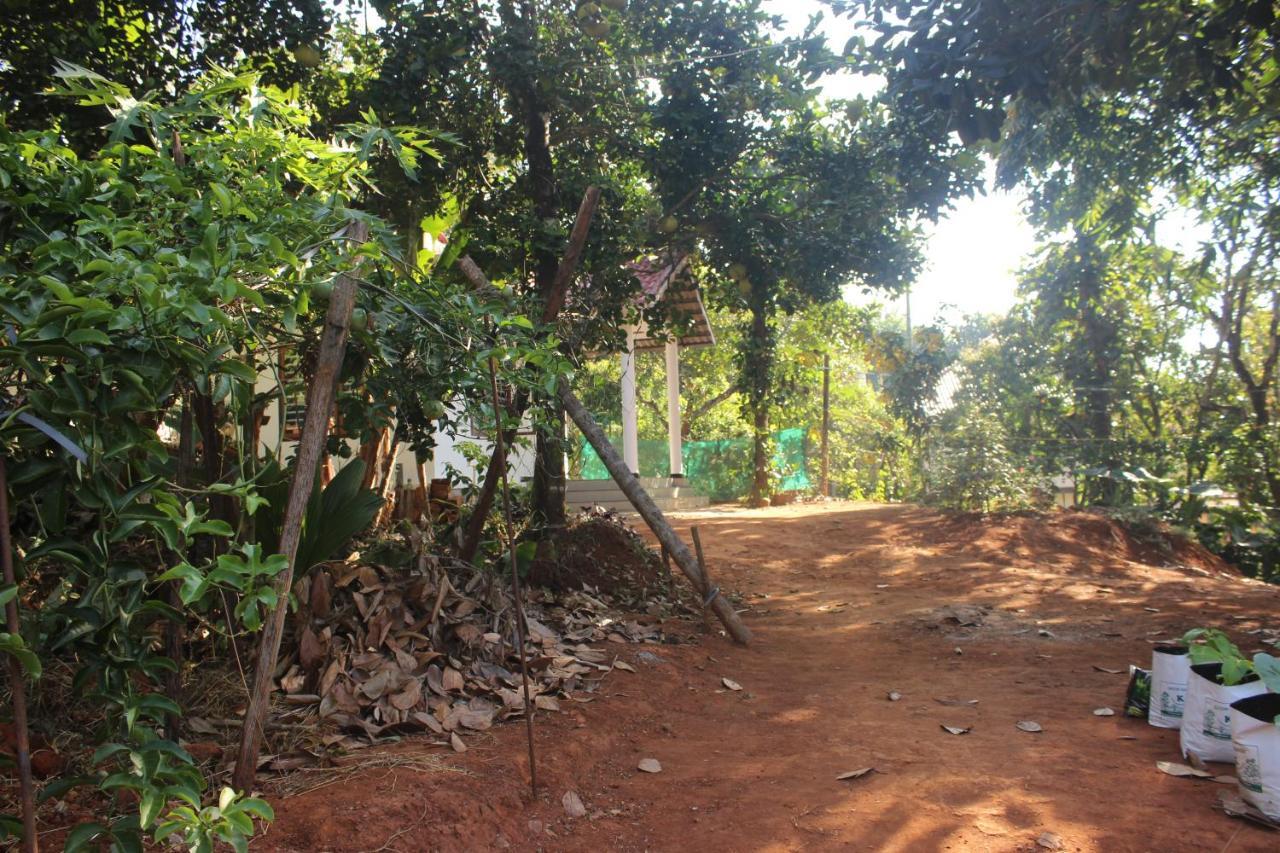 Wayanad Days Villa Mananthavady Eksteriør billede